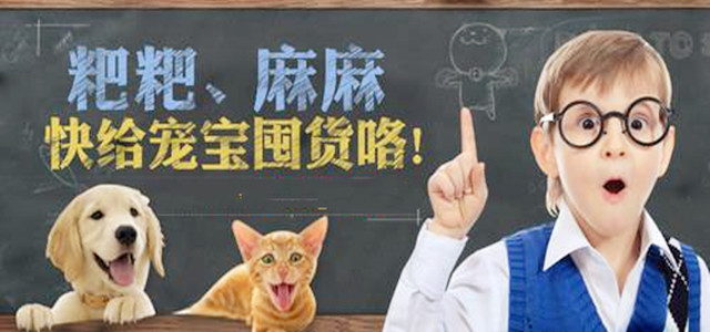 名声在“外”，国内宠物食品品牌如何突围?