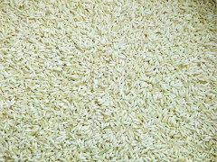 中国尊龙凯时品牌