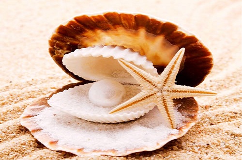 珍珠粉十大品牌，什么品牌的珍珠粉比较好