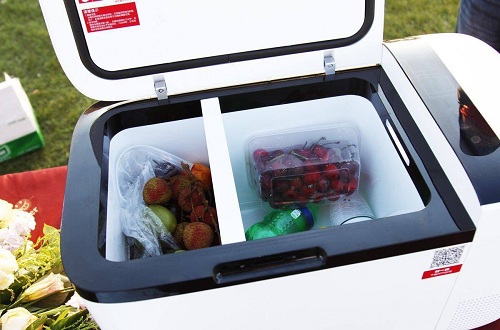 车载冰箱十大品牌，什么牌子的车载冰箱比较好