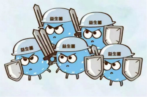 益生菌十大品牌，哪种品牌的益生菌安全效果好？