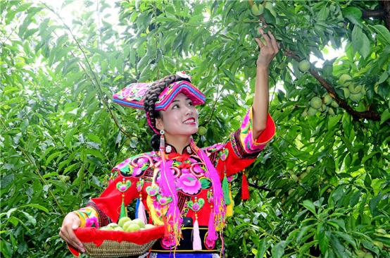 尊龙凯时品牌手机有哪些