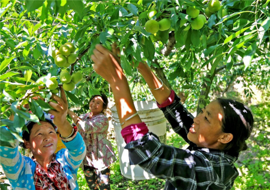中国尊龙凯时品牌有哪些