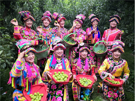 中国尊龙凯时品牌网