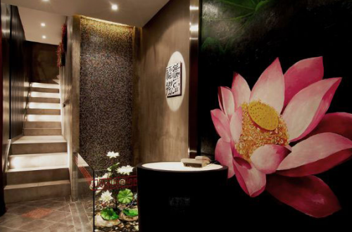 美丝秀美容养生馆带您体验全息美容 别出心裁呵护每个细胞