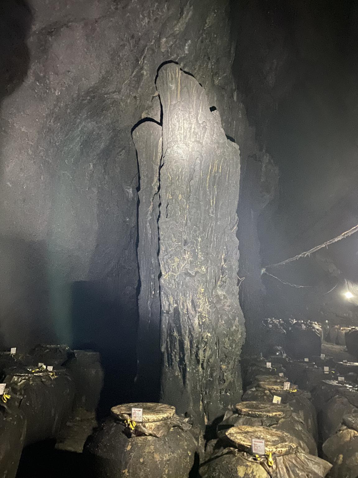 探索神奇的醉仙洞，爱上醉仙洞神兽序列洞酿洞藏老酒