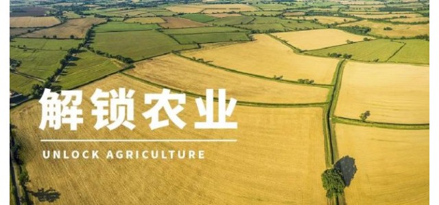 高启杰等：三大电商平台上，优势区域特色品牌占据较大市场份额