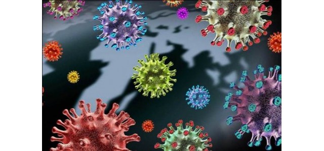 我国发现新冠病毒新变体？专家怎么评论？我们需要担心吗